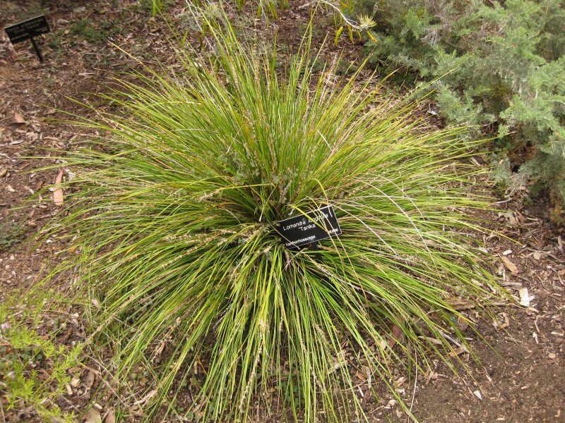 File:IMG 7190 hunt09jun.jpg