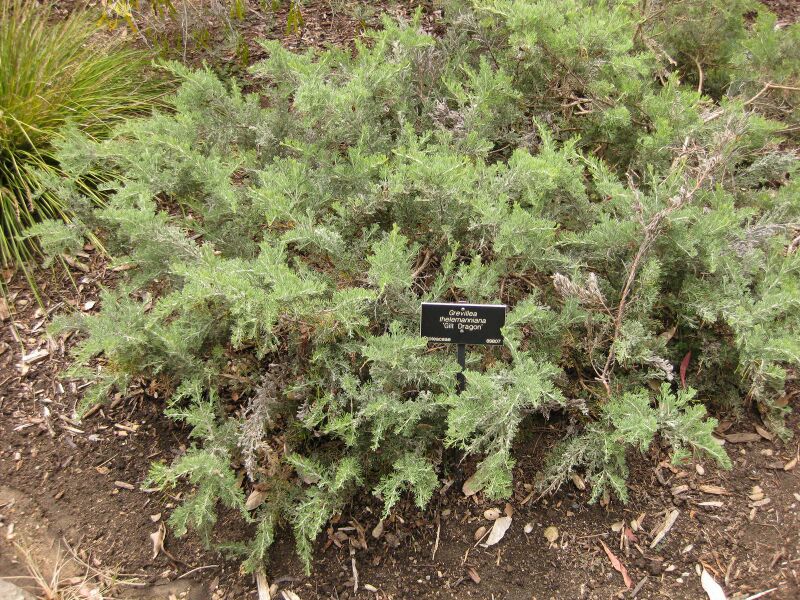 File:IMG 7191 hunt09jun.jpg