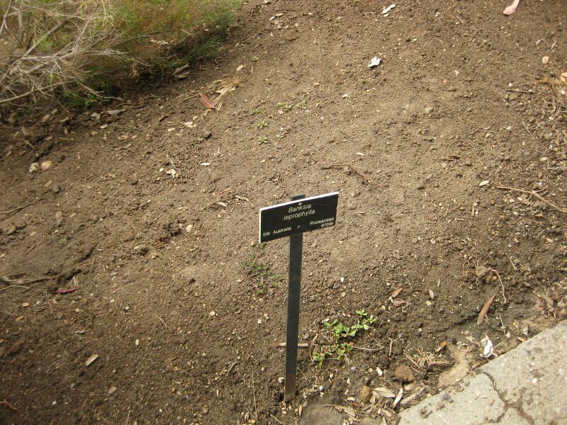 File:IMG 7196 hunt09jun.jpg