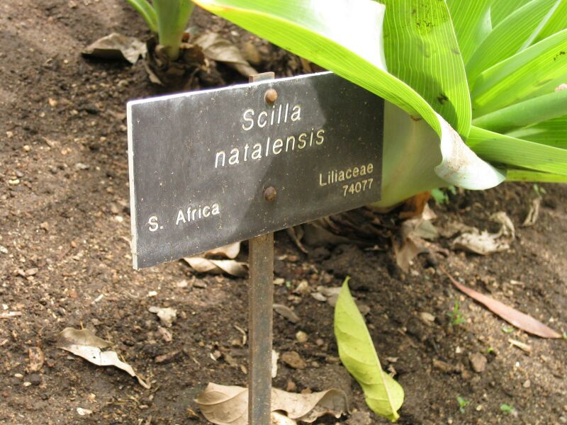 File:IMG 7200 hunt09jun.jpg