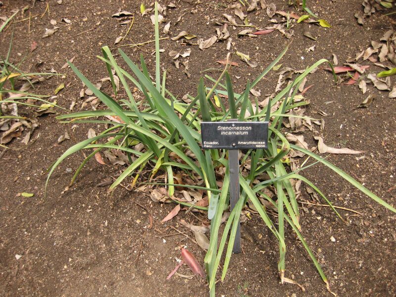 File:IMG 7205 hunt09jun.jpg