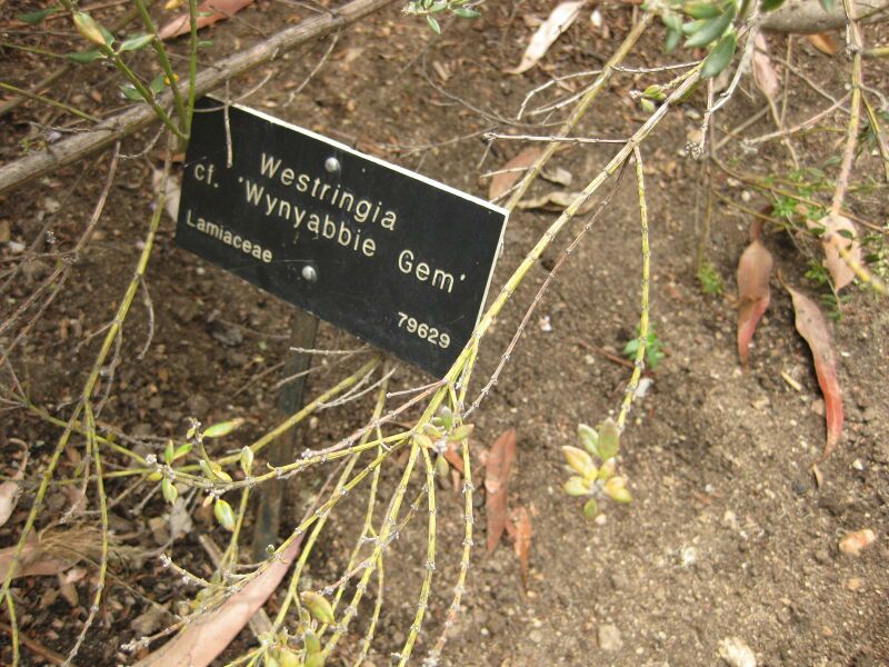 File:IMG 7211 hunt09jun.jpg