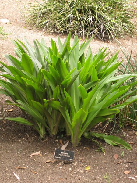 File:IMG 7216 hunt09jun.jpg