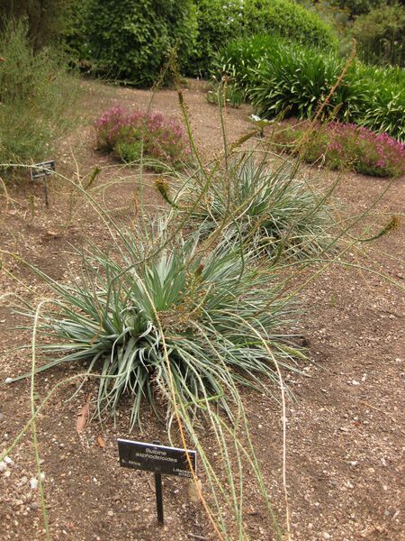 File:IMG 7221 hunt09jun.jpg