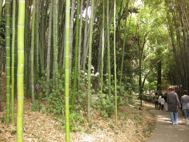 File:IMG 7230 hunt09jun.jpg