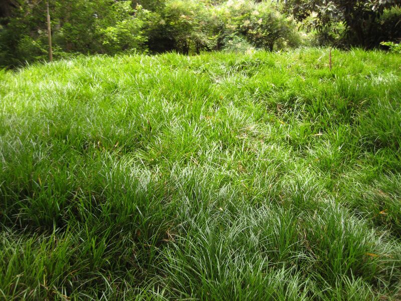 File:IMG 7233 hunt09jun.jpg