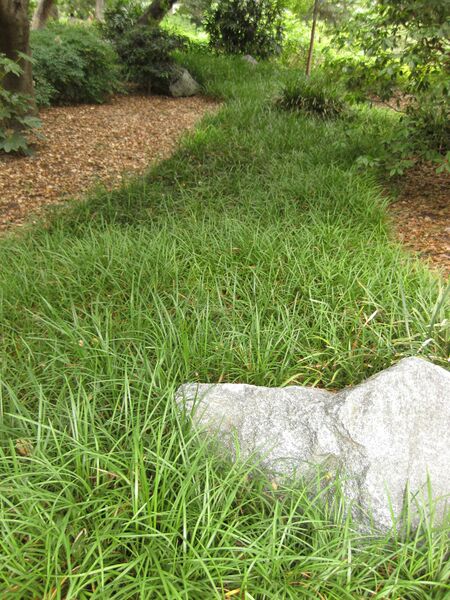 File:IMG 7244 hunt09jun.jpg