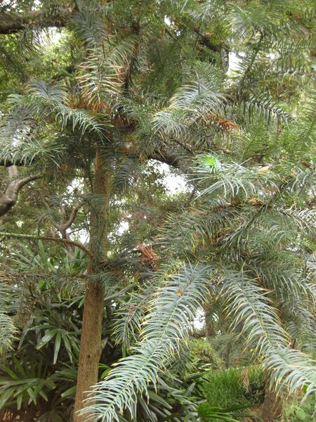 File:IMG 7249 hunt09jun.jpg