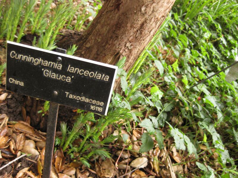 File:IMG 7250 hunt09jun.jpg