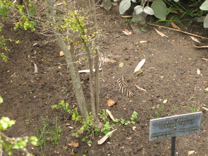 File:IMG 7259 hunt09jun.jpg