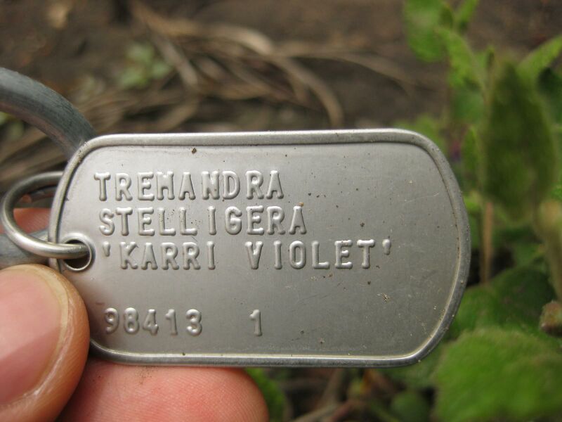 File:IMG 7263 hunt09jun.jpg