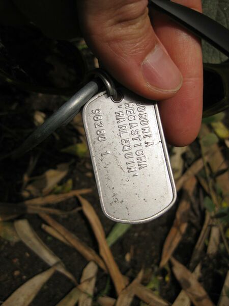 File:IMG 7268 hunt09jun.jpg