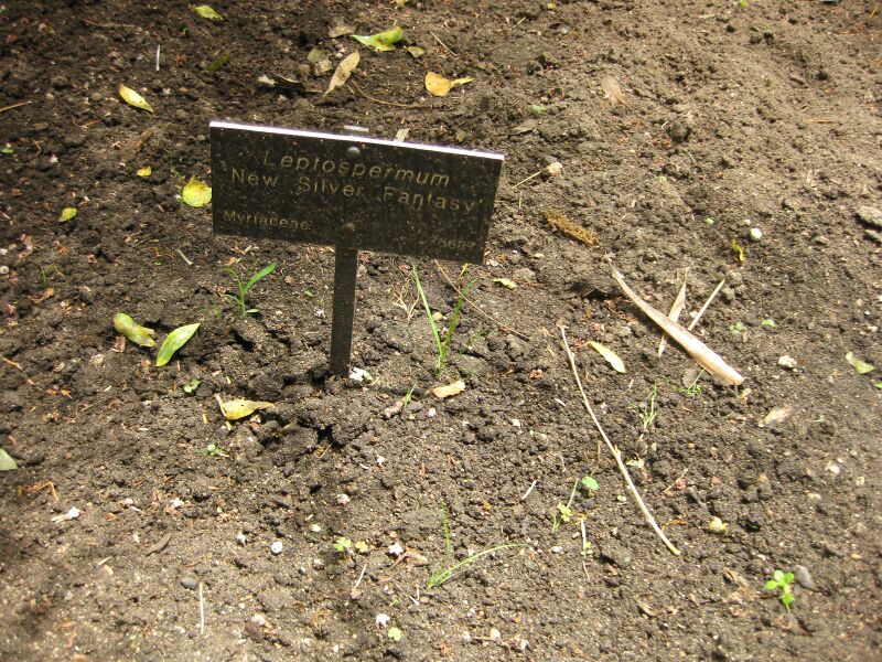 File:IMG 7271 hunt09jun.jpg