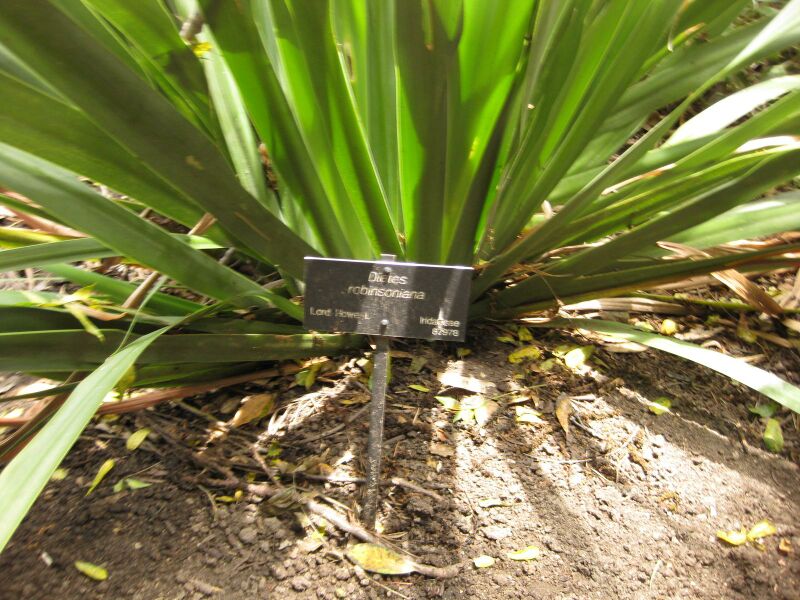 File:IMG 7273 hunt09jun.jpg