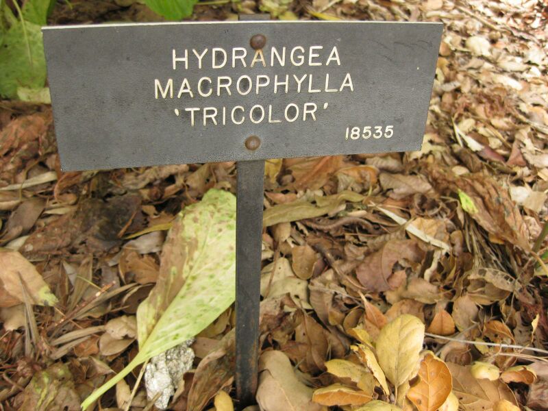 File:IMG 7281 hunt09jun.jpg