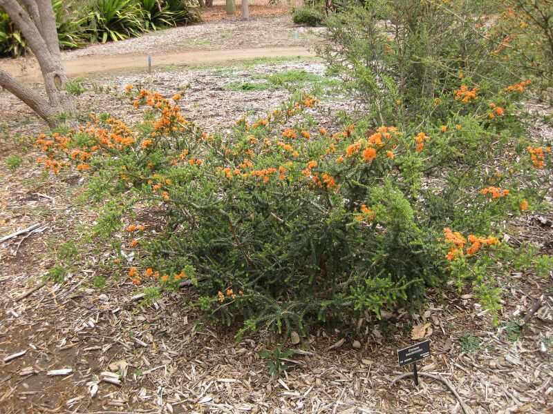 File:IMG 7288 hunt09jun.jpg