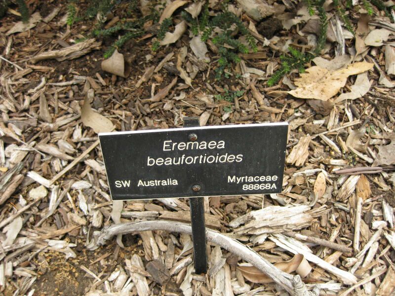 File:IMG 7291 hunt09jun.jpg