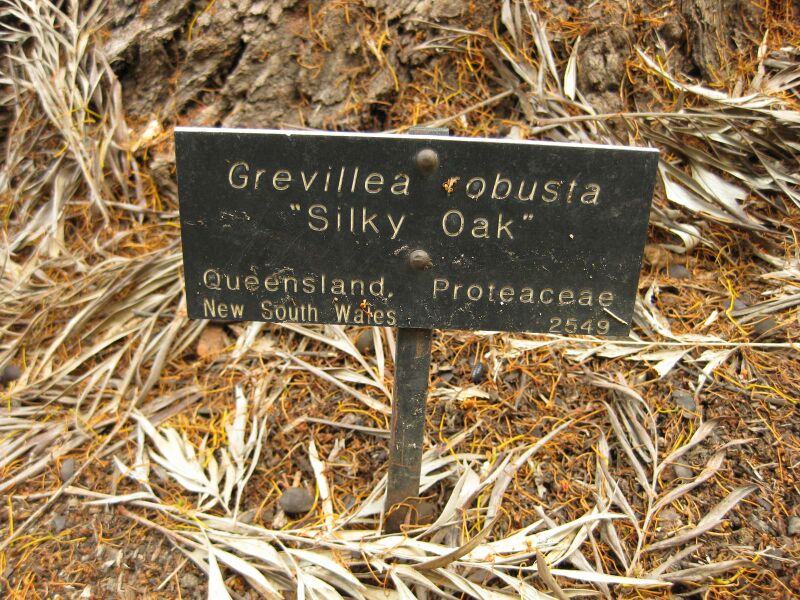 File:IMG 7297 hunt09jun.jpg