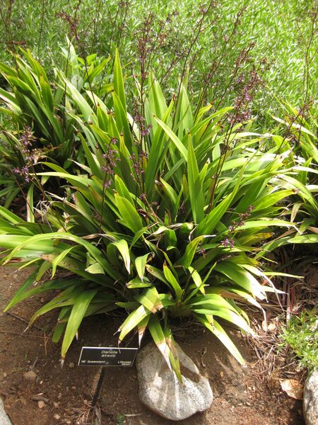 File:IMG 7304 hunt09jun.jpg