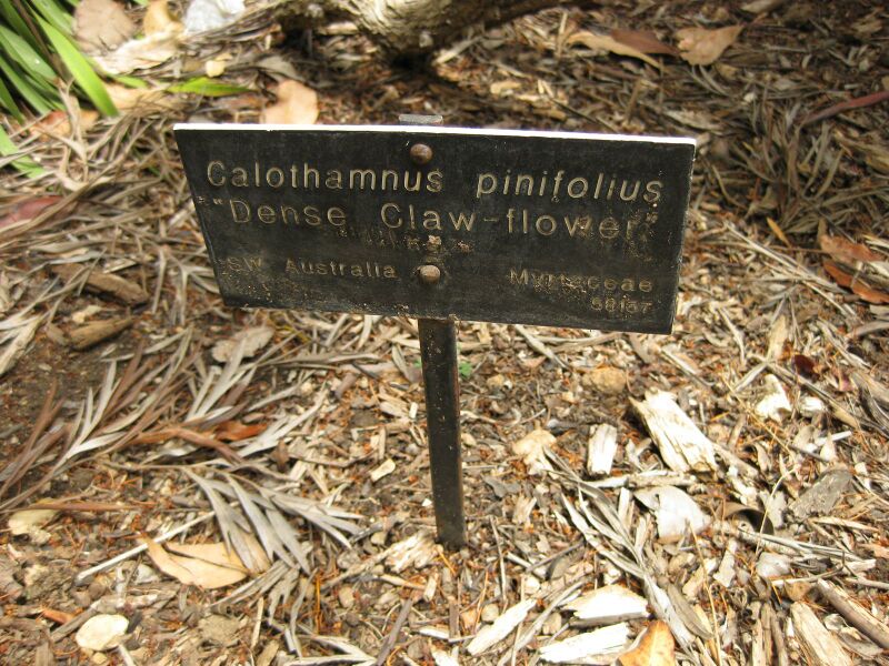 File:IMG 7310 hunt09jun.jpg