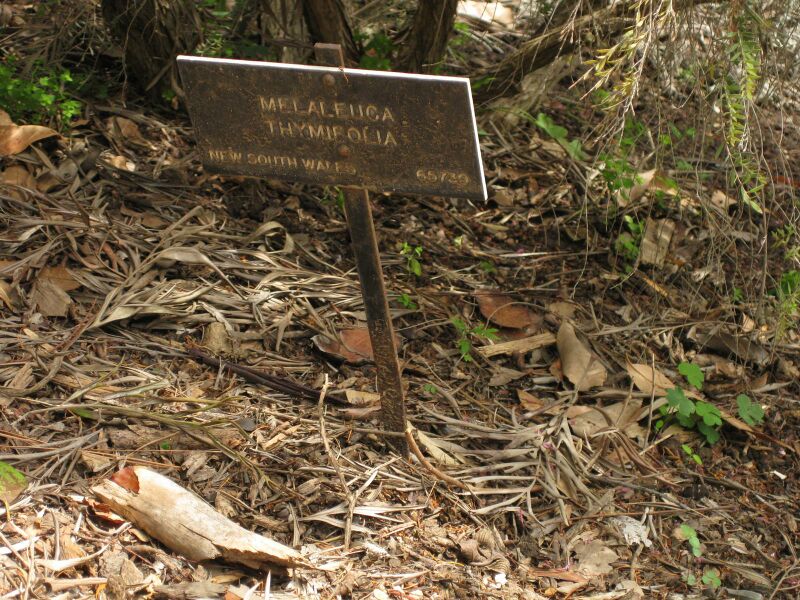 File:IMG 7313 hunt09jun.jpg