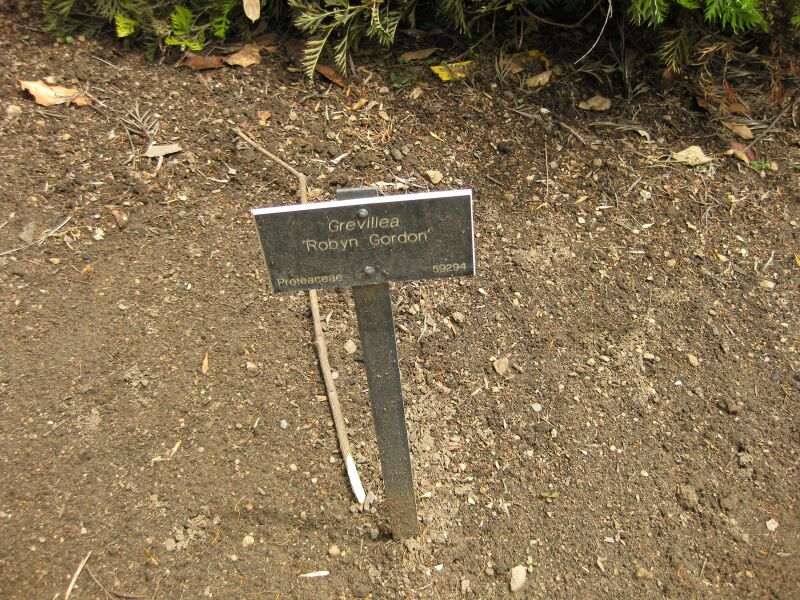 File:IMG 7316 hunt09jun.jpg