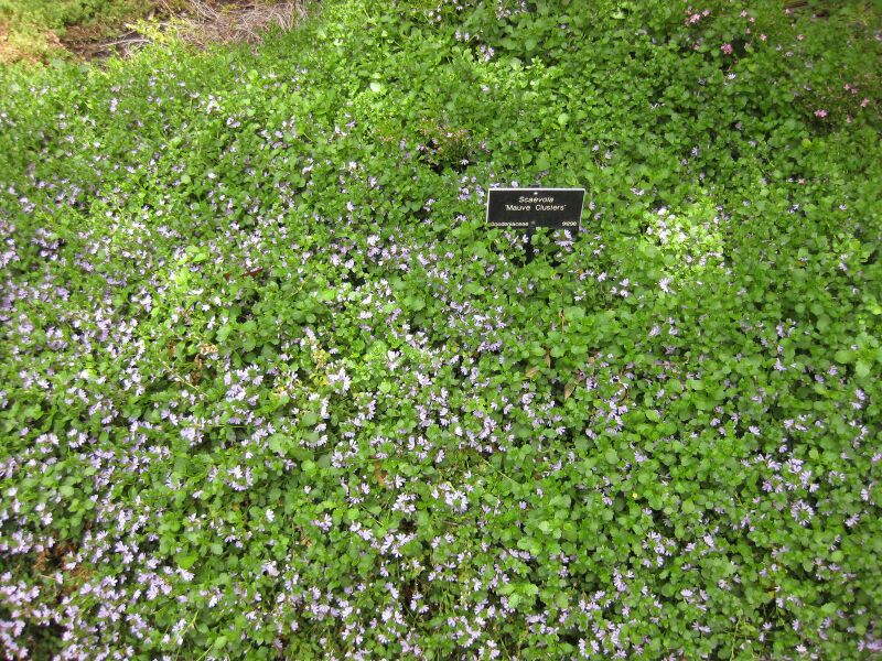 File:IMG 7317 hunt09jun.jpg