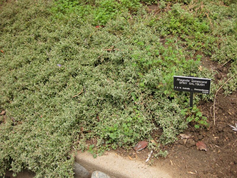 File:IMG 7319 hunt09jun.jpg