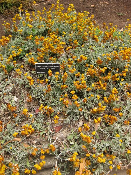 File:IMG 7322 hunt09jun.jpg