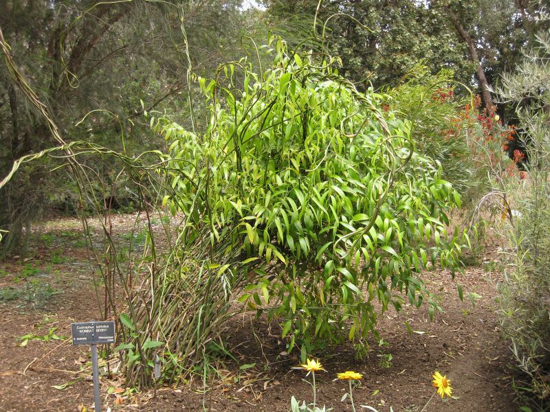 File:IMG 7323 hunt09jun.jpg