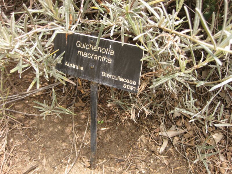 File:IMG 7326 hunt09jun.jpg