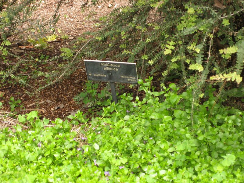 File:IMG 7328 hunt09jun.jpg