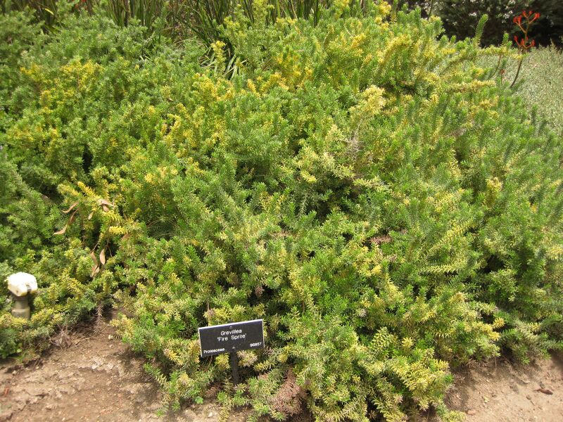 File:IMG 7329 hunt09jun.jpg