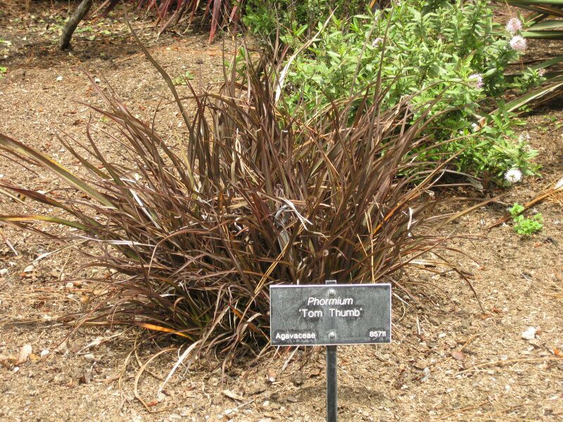 File:IMG 7333 hunt09jun.jpg