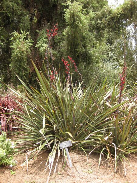 File:IMG 7334 hunt09jun.jpg