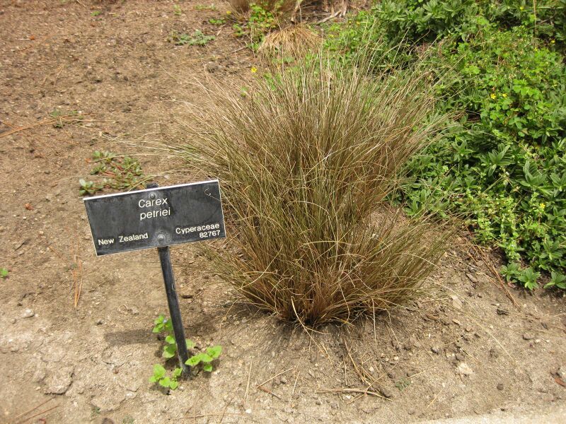 File:IMG 7336 hunt09jun.jpg