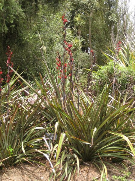 File:IMG 7337 hunt09jun.jpg