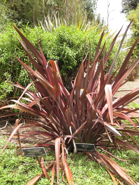 File:IMG 7339 hunt09jun.jpg