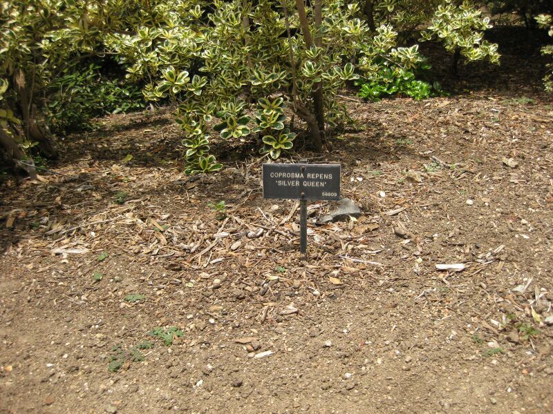 File:IMG 7344 hunt09jun.jpg