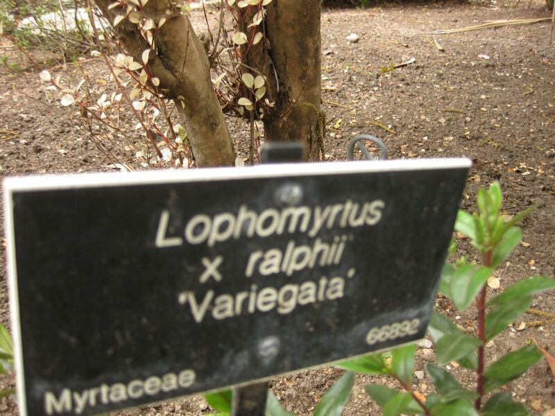 File:IMG 7348 hunt09jun.jpg