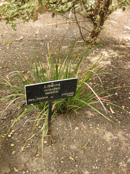 File:IMG 7349 hunt09jun.jpg