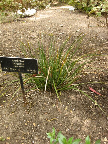 File:IMG 7350 hunt09jun.jpg