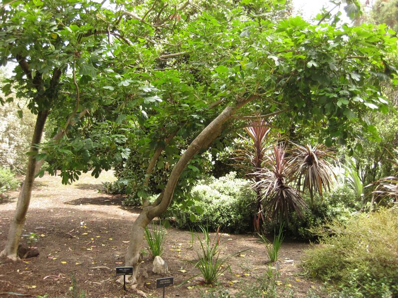 File:IMG 7354 hunt09jun.jpg