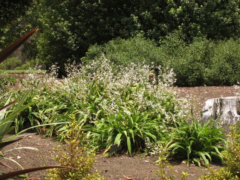 File:IMG 7359 hunt09jun.jpg