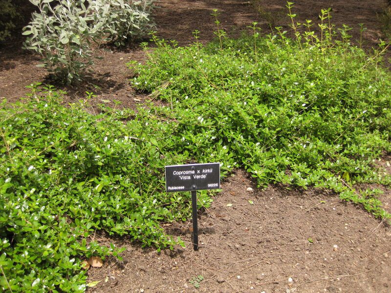 File:IMG 7360 hunt09jun.jpg