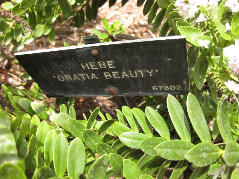 File:IMG 7363 hunt09jun.jpg