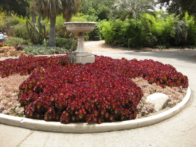 File:IMG 7375 hunt09jun.jpg