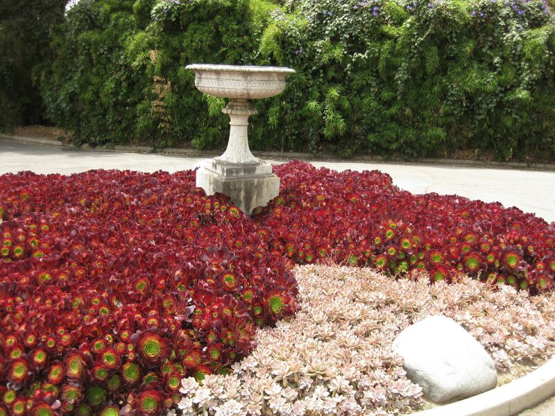 File:IMG 7377 hunt09jun.jpg