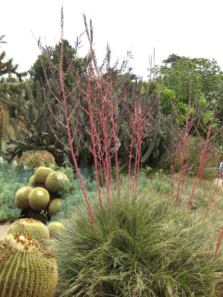 File:IMG 7381 hunt09jun.jpg