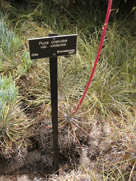 File:IMG 7385 hunt09jun.jpg